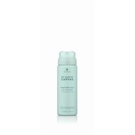 Another Day Dry Shampoo mini 57g thumbnail