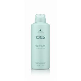 Another Day Dry Shampoo 142g thumbnail
